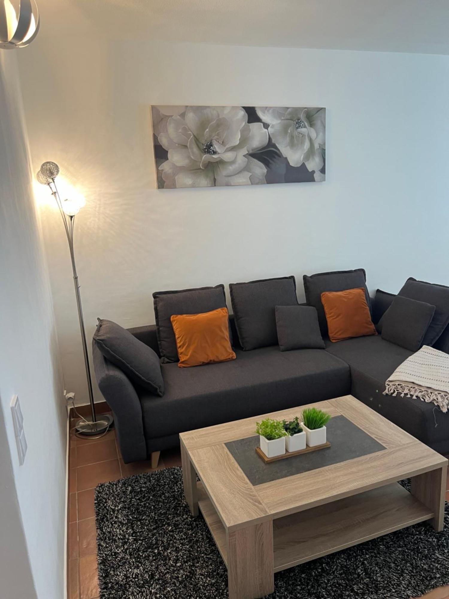 Magnifique Appartement Proche Des Plages Plus Garage Prive Αντίμπ Εξωτερικό φωτογραφία